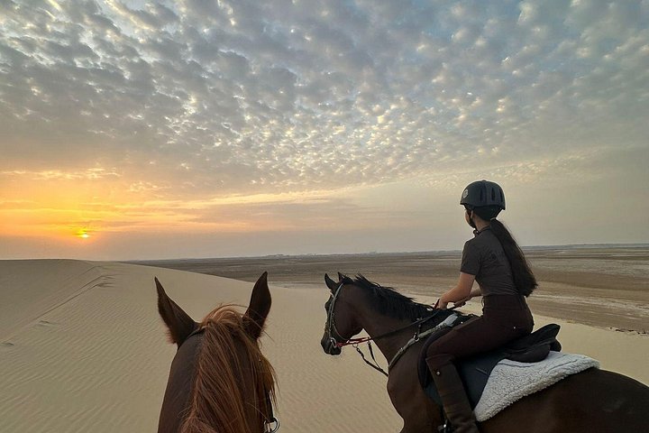 https://turpal-web.fra1.digitaloceanspaces.com/Agent-Devlop/al-annabi-tourism/session-webhook-1791426835170234/img_42.jpg