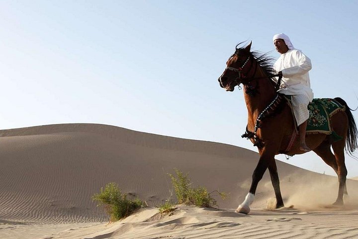 https://turpal-web.fra1.digitaloceanspaces.com/Agent-Devlop/al-annabi-tourism/session-webhook-1791426835170234/img_43.jpg