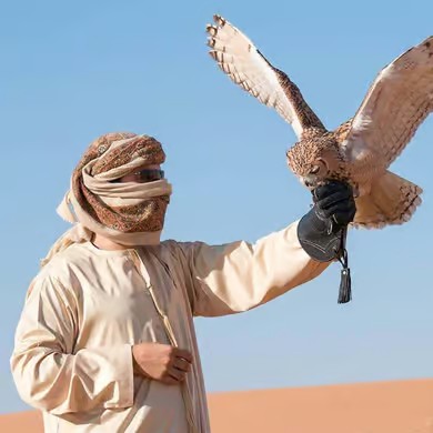 https://turpal-web.fra1.digitaloceanspaces.com/Agent-Devlop/joyful-adventure-tourism-llc/session-webhook-1793081880083128/img_2.jpg